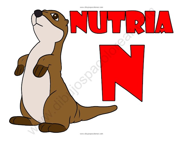 Nutria letra N abecedario dibujo a color y para colorear